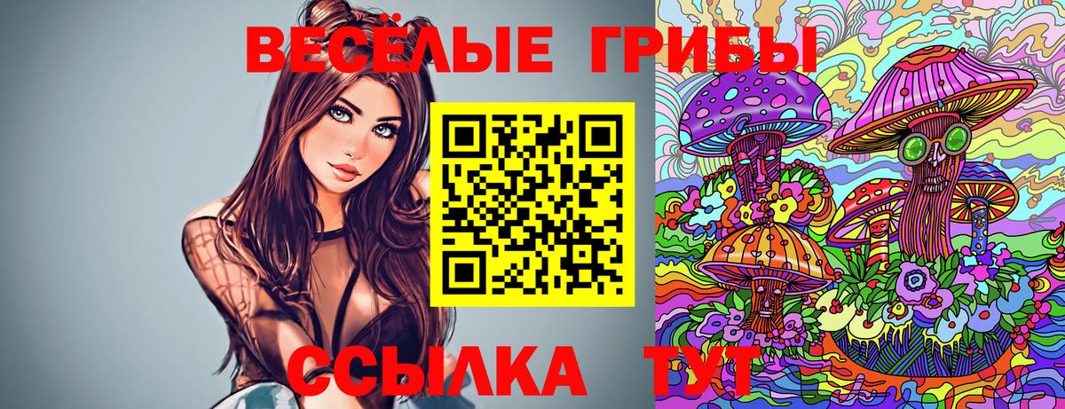 Галлюциногенные грибы мицелий  Вход с VPN  Галлюциногенные грибы прущие грибы  Красноярск 